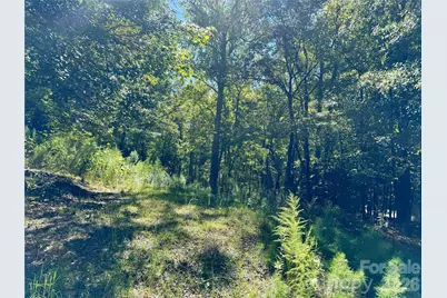 10062 Southwinds Drive, Indian Land, SC 29707 - Photo 12