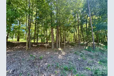 10062 Southwinds Drive, Indian Land, SC 29707 - Photo 1