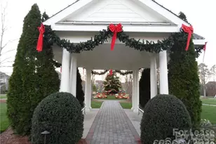 117 Elmrich Ct, Waxhaw, NC 28173 - Photo 22