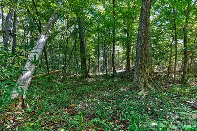 0000 Narrow Bridge Road #1, Chester, SC 29706 - Photo 22