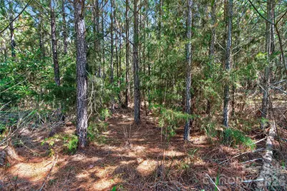 0000 Narrow Bridge Road #1, Chester, SC 29706 - Photo 10