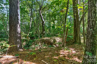 0000 Narrow Bridge Road #1, Chester, SC 29706 - Photo 14