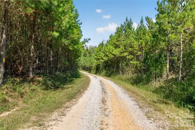 0000 Narrow Bridge Road #1, Chester, SC 29706 - Photo 6