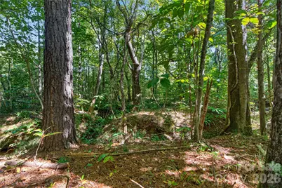 0000 Narrow Bridge Road #1, Chester, SC 29706 - Photo 16