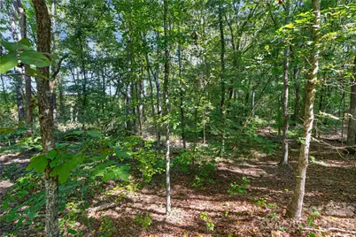 0000 Narrow Bridge Road #1, Chester, SC 29706 - Photo 8