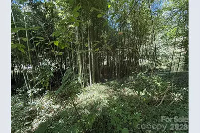 99999 Roebling Circle #39, Asheville, NC 28803 - Photo 12