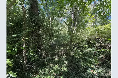 99999 Roebling Circle #38, Asheville, NC 28803 - Photo 10