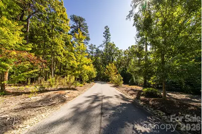 9999 Sherwood Drive S, Flat Rock, NC 28731 - Photo 8