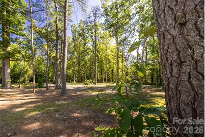 9999 Sherwood Drive S, Flat Rock, NC 28731 - Photo 4