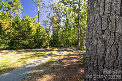 9999 Sherwood Drive S, Flat Rock, NC 28731 - Photo 6
