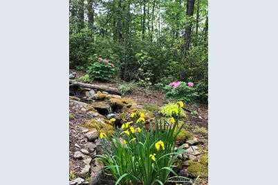 44 Sunset Trace, Brevard, NC 28712 - Photo 8