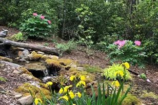 44 Sunset Trce, Brevard, NC 28712 - Photo 8