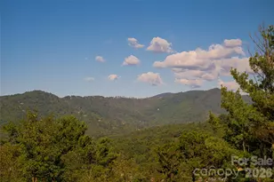 79 Horizon Hill Rd, Asheville, NC 28804 - Photo 4