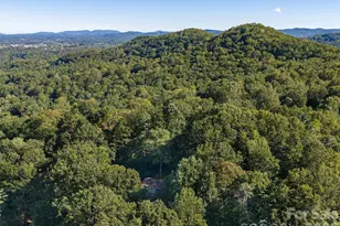 172 Long John Dr, Hendersonville, NC 28791 - Photo 30
