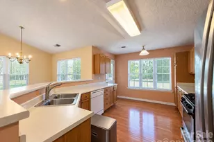 15751 Southern Garden Ln, Charlotte, NC 28278 - Photo 4