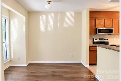 7309 Winery Lane, Charlotte, NC 28227 - Photo 4