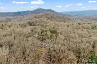 117 Hummingbird Ln, Columbus, NC 28722 - Photo 26