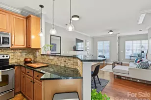 4460 Yoruk Forest Ln, Charlotte, NC 28211 - Photo 10