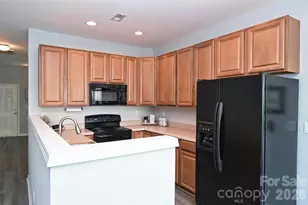 13623 Singleleaf Lane, Charlotte, NC 28278 - Photo 10