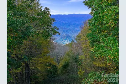 99999 Eagle Bald Trail, Burnsville, NC 28714 - Photo 2