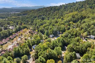 40 Rocking Porch Ln, Asheville, NC 28805 - Photo 32