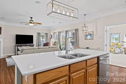 370 Mount Side Way, Fort Mill, SC 29715 - Photo 16
