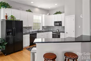 3004 Ivy Brook Pl, Stallings, NC 28104 - Photo 10