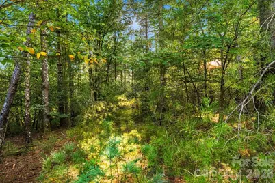 60 Kingfisher Terrace #107, Nebo, NC 28761 - Photo 1