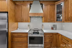 15 W Moytoy Ln, Brevard, NC 28712 - Photo 18