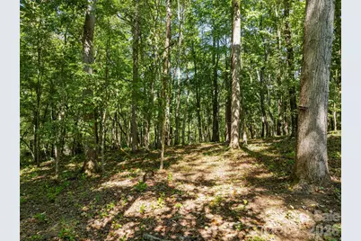 644 Walnut Valley Parkway, Arden, NC 28704 - Photo 24