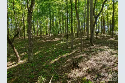 644 Walnut Valley Parkway, Arden, NC 28704 - Photo 40