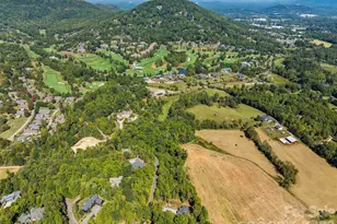 644 Walnut Valley Pkwy, Arden, NC 28704 - Photo 1