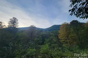 1061 Caldwell Dr, Maggie Valley, NC 28751 - Photo 34