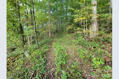 1061 Caldwell Drive, Maggie Valley, NC 28751 - Photo 36