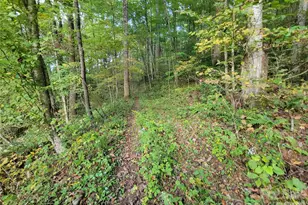 1061 Caldwell Dr, Maggie Valley, NC 28751 - Photo 36