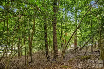 Tbd Willowbrook Lane #7, Wilkesboro, NC 28697 - Photo 12