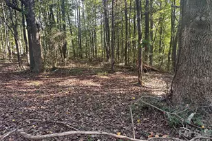 86 Sunrise Trail, Lincolnton, NC 28092 - Photo 1