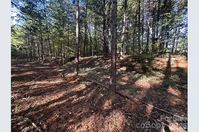 86 Sunrise Trail, Lincolnton, NC 28092 - Photo 8