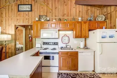 102 Cricket Way, Beech Mountain, NC 28604 - Photo 4