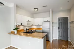 437 Appeldoorn Cir, Asheville, NC 28803 - Photo 12