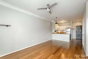 437 Appeldoorn Cir, Asheville, NC 28803 - Photo 8