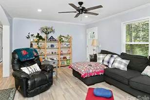 203 Beaverdam Loop Rd, Candler, NC 28715 - Photo 8
