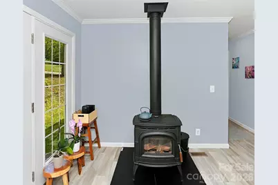 203 Beaverdam Loop Road, Candler, NC 28715 - Photo 16