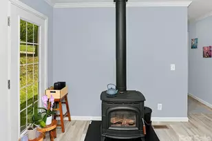 203 Beaverdam Loop Rd, Candler, NC 28715 - Photo 16