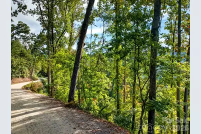 99999 Vance Gap Road, Asheville, NC 28804 - Photo 14