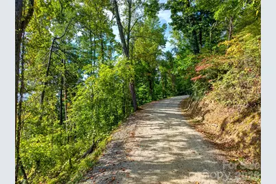 99999 Vance Gap Road, Asheville, NC 28804 - Photo 10