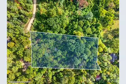 99999 Vance Gap Road, Asheville, NC 28804 - Photo 4