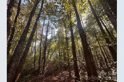 84 Sunrise Trail, Lincolnton, NC 28092 - Photo 4