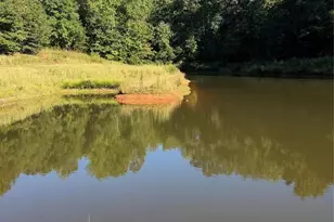 1352 Williamson Rd, Shelby, NC 28150 - Photo 14