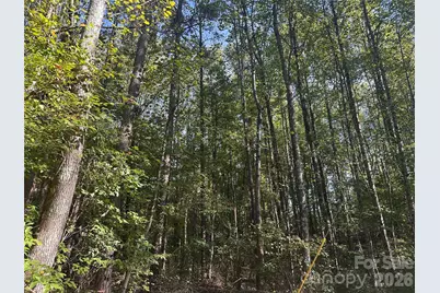 81 Meandering Lane, Lincolnton, NC 28092 - Photo 8